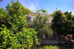 Отель Seaside apartments with a swimming pool Viganj, Peljesac - 260  Вигань